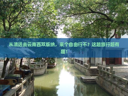 清远到云南西双版纳自由团