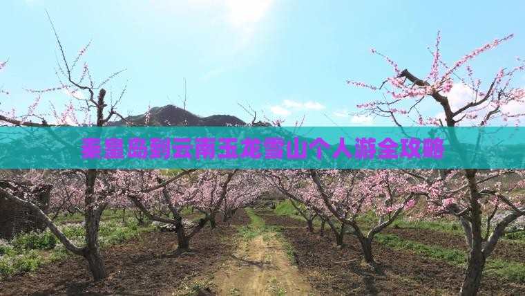 秦皇岛到云南玉龙雪山个人游