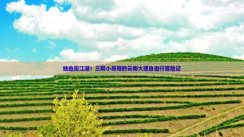 三明去云南大理个人游