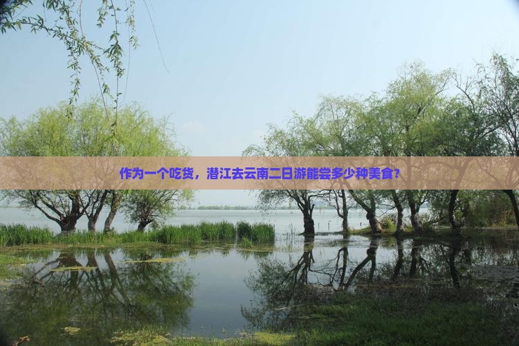 潜江去云南二日游