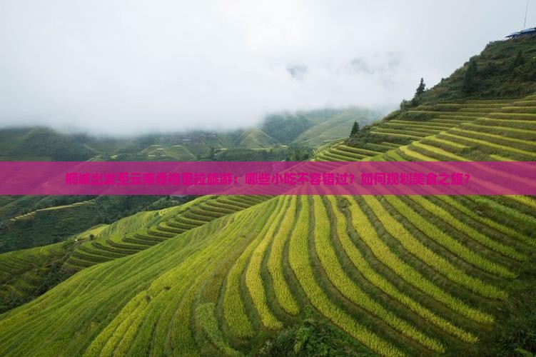 桐城到云南香格里拉旅游小吃