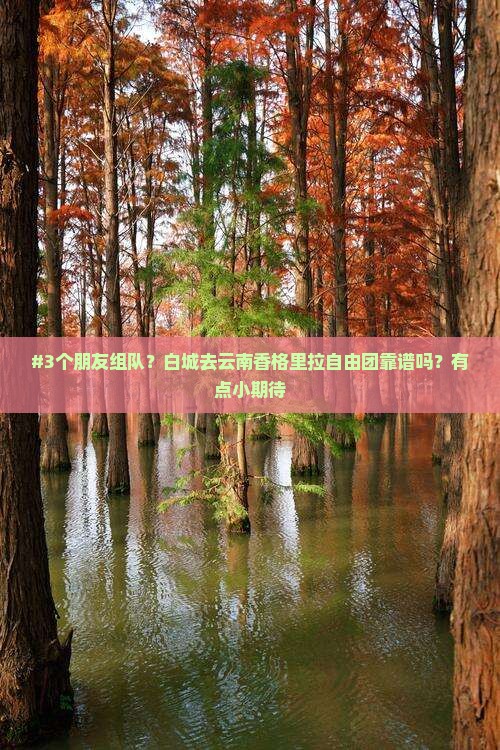 白城到云南香格里拉自由团