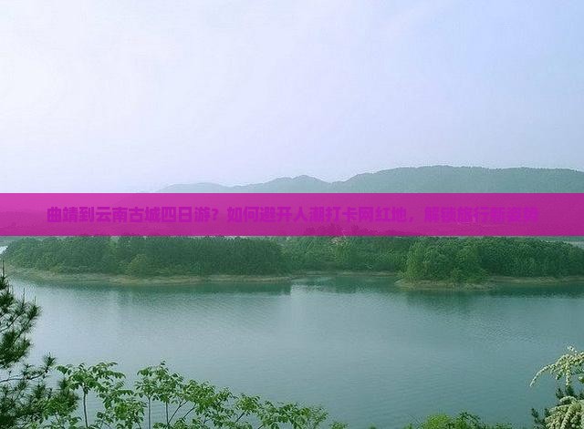 曲靖到云南古城四日游