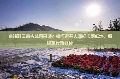 曲靖到云南古城四日游