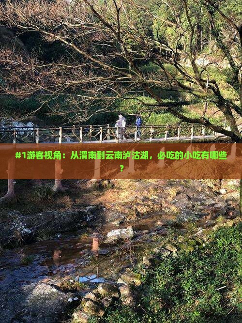 渭南去云南泸沽湖旅游小吃