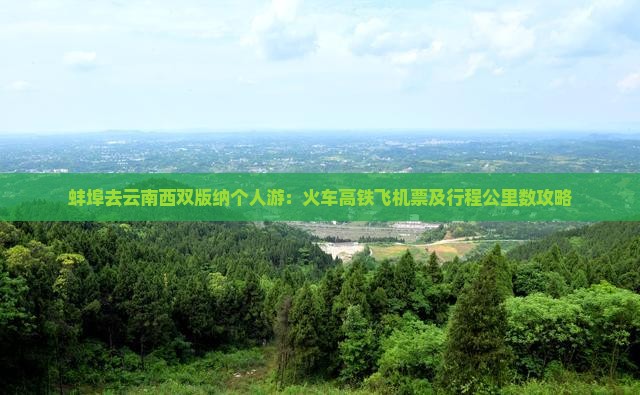 蚌埠去云南西双版纳个人游