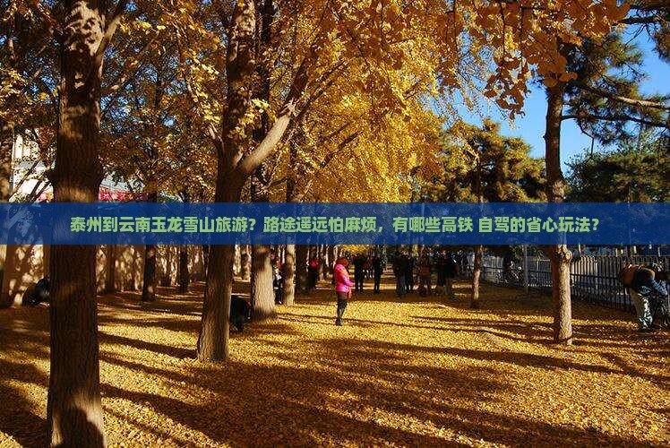 泰州到云南玉龙雪山旅游