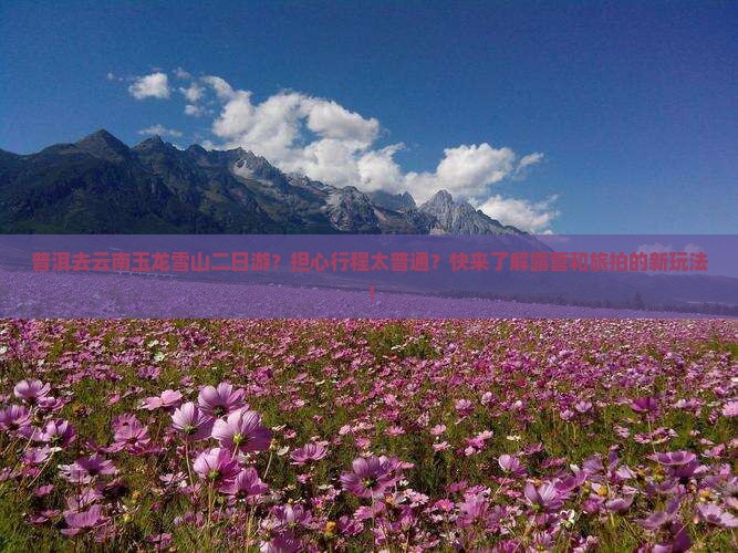 普洱去云南玉龙雪山二日游 普洱去云南玉龙雪山二日游