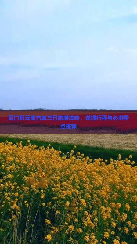 营口到云南古城三日游