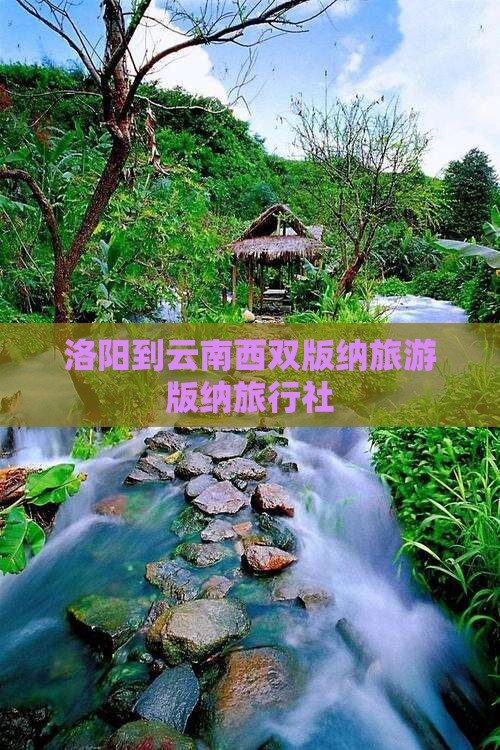 洛阳到云南西双版纳旅行社