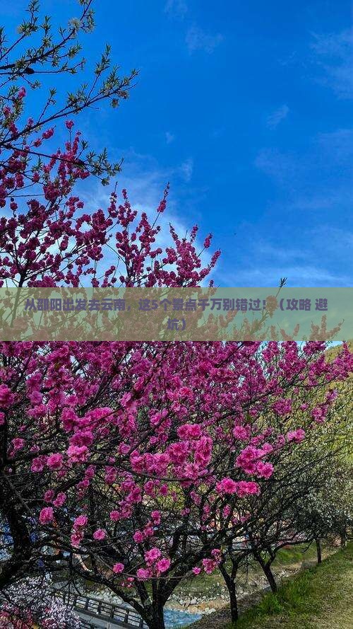 邵阳去云南景点
