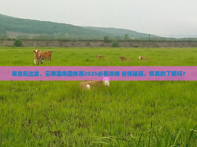 秦皇岛去云南温泉团体旅游