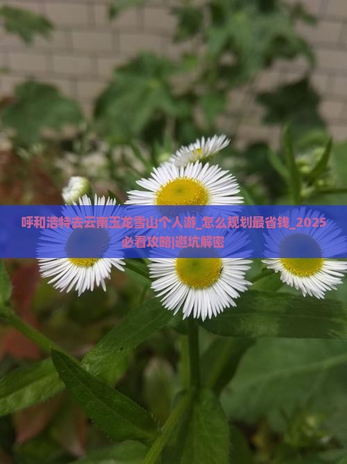 呼和浩特去云南玉龙雪山个人游