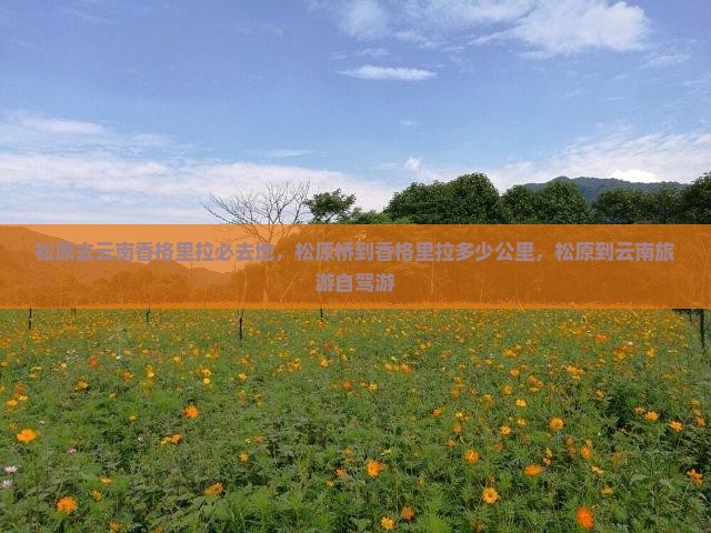 松原去云南香格里拉必去地