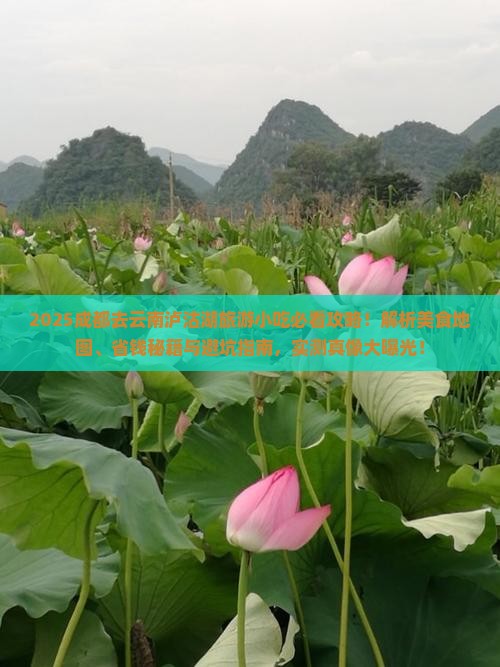 成都去云南泸沽湖旅游小吃