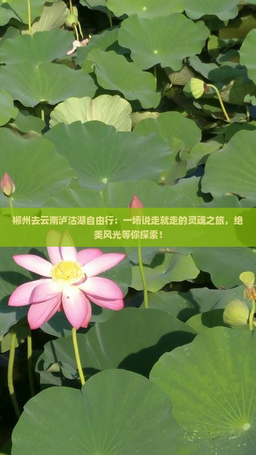 郴州去云南泸沽湖自由行