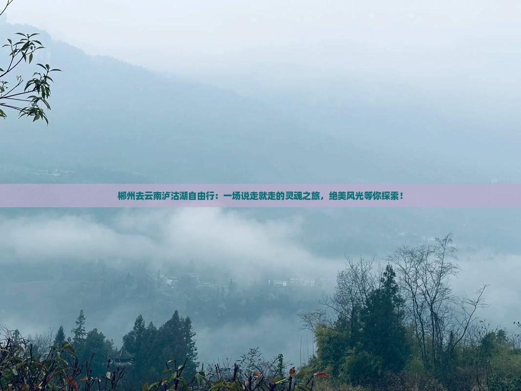 郴州去云南泸沽湖自由行