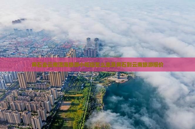 黄石去云南洱海旅游小吃