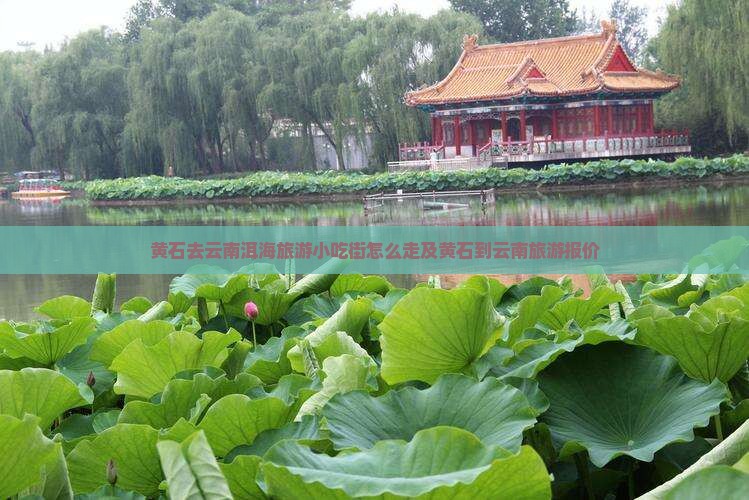 黄石去云南洱海旅游小吃
