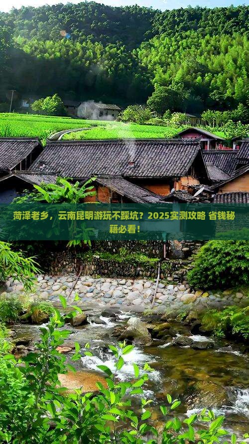 菏泽去云南昆明哪里玩