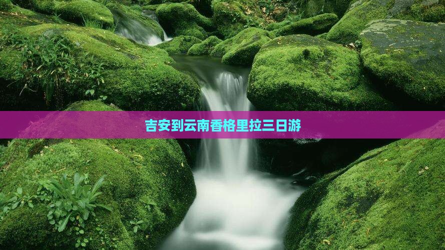 吉安到云南香格里拉三日游