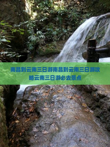 南昌到云南三日游