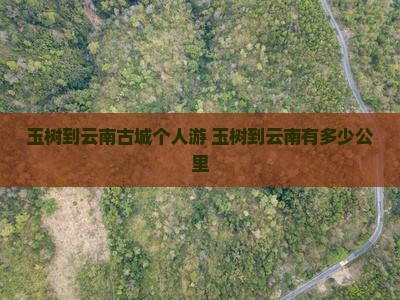 玉树到云南古城个人游