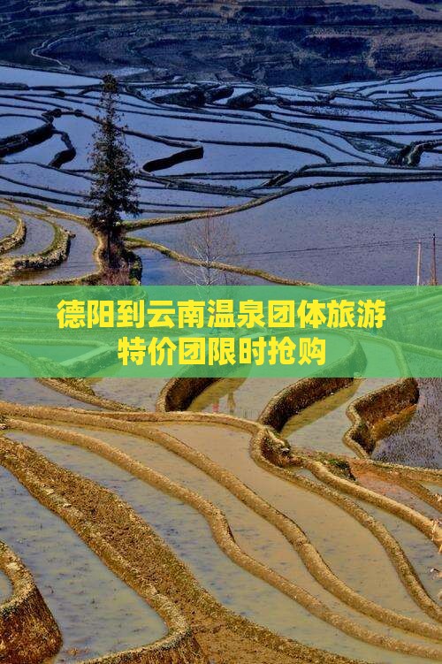 德阳到云南温泉团体旅游