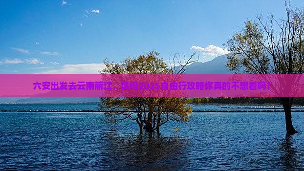 六安到云南丽江自由行