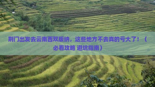 荆门去云南西双版纳必去地