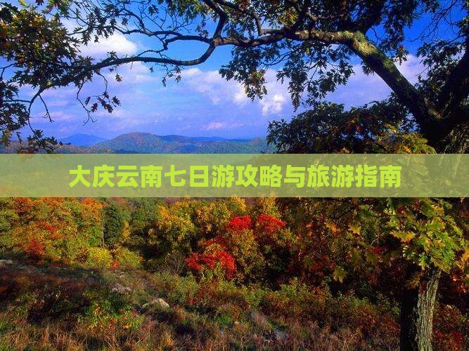 大庆去云南七日游