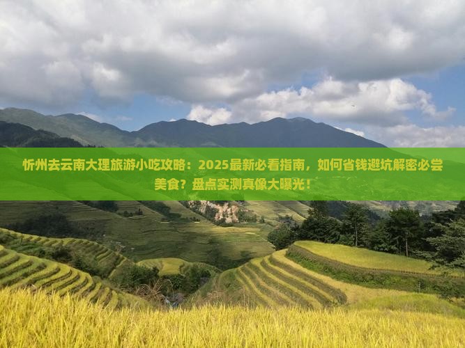 忻州去云南大理旅游小吃