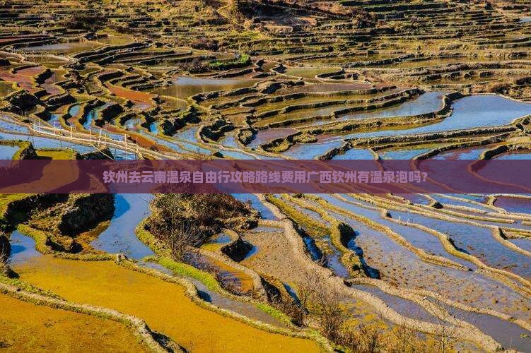 钦州去云南温泉自由行