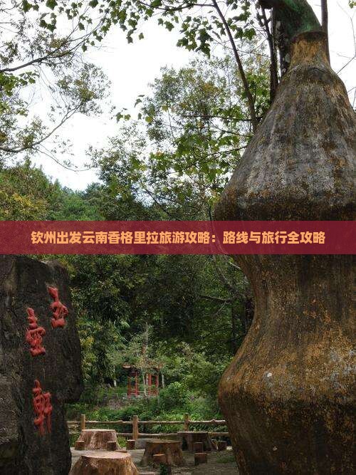 钦州到云南香格里拉旅游