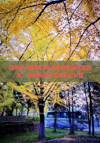 宿州到云南丽江景点