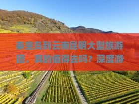 秦皇岛到云南昆明大型旅游团