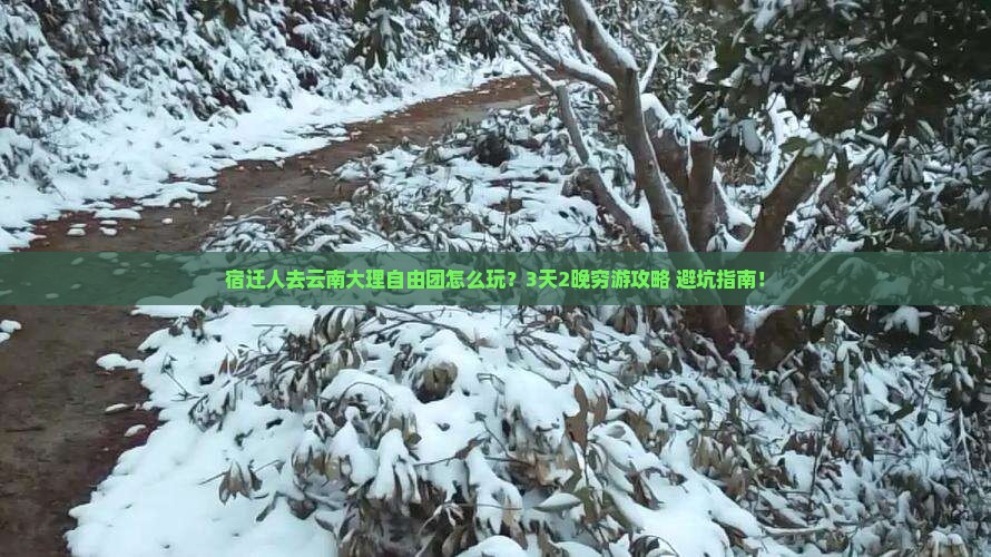 宿迁去云南大理自由团