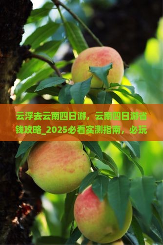 云浮去云南四日游