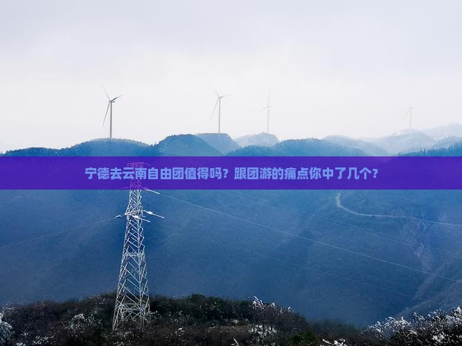 宁德去云南自由团