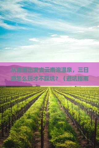 诸城到云南温泉三日游