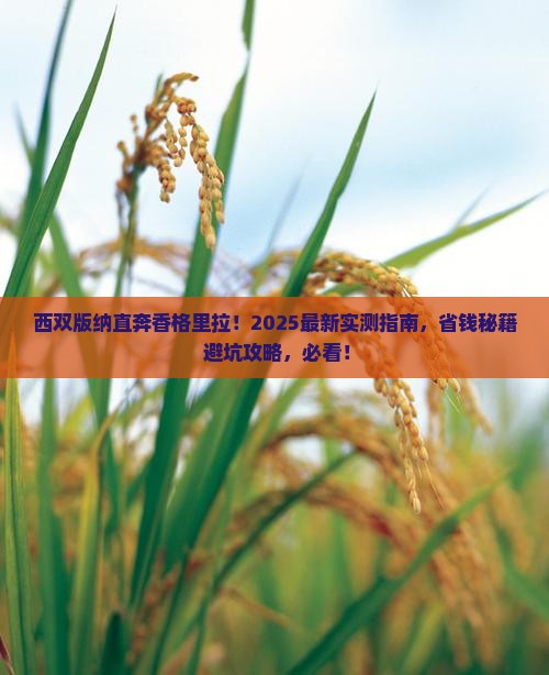 西双版纳去云南香格里拉七日游