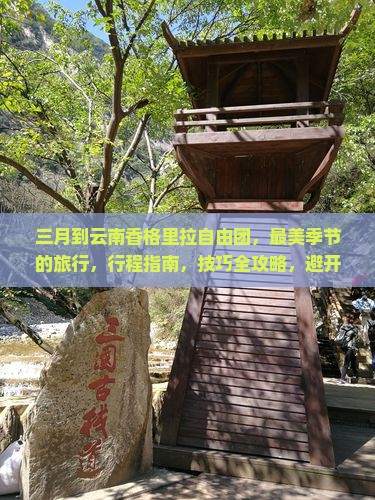 三月到云南香格里拉自由团