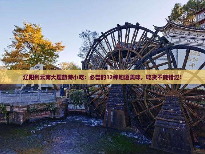 辽阳到云南大理旅游小吃