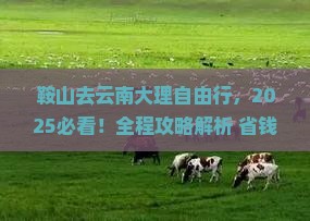 鞍山去云南大理自由行