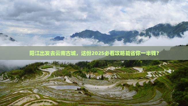 阳江到云南古城旅行社