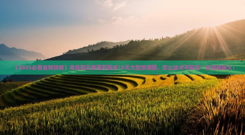 海北到云南西双版纳大型旅游团