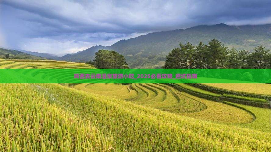 鸡西去云南温泉旅游小吃