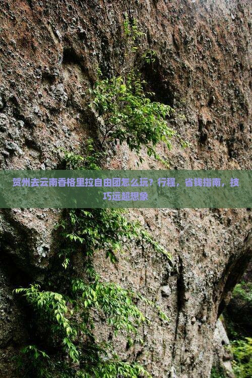 贺州去云南香格里拉自由团
