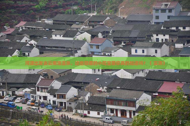 河源到云南温泉旅游小吃