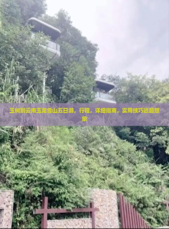 玉树到云南玉龙雪山五日游